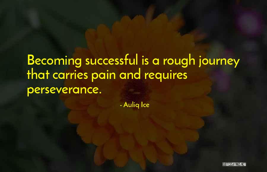 Perseverance And Success Quotes By Auliq Ice