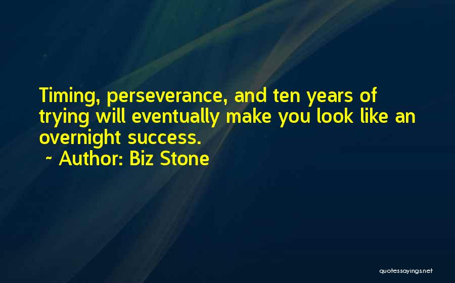 Perseverance And Success Quotes By Biz Stone