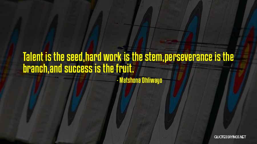 Perseverance And Success Quotes By Matshona Dhliwayo