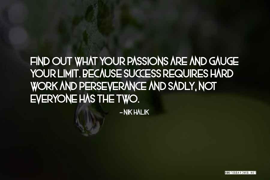 Perseverance And Success Quotes By Nik Halik