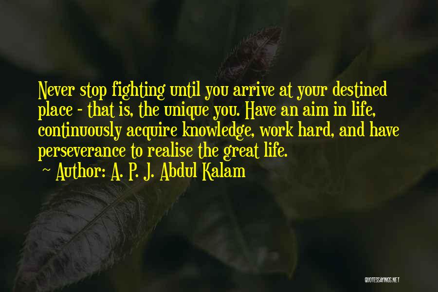 Perseverance In Work Quotes By A. P. J. Abdul Kalam