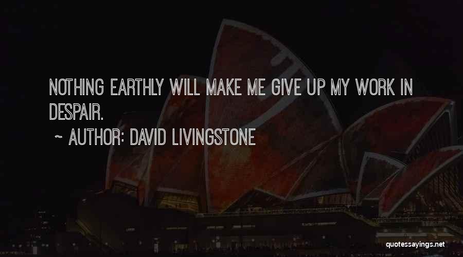 Perseverance In Work Quotes By David Livingstone