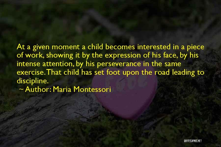 Perseverance In Work Quotes By Maria Montessori
