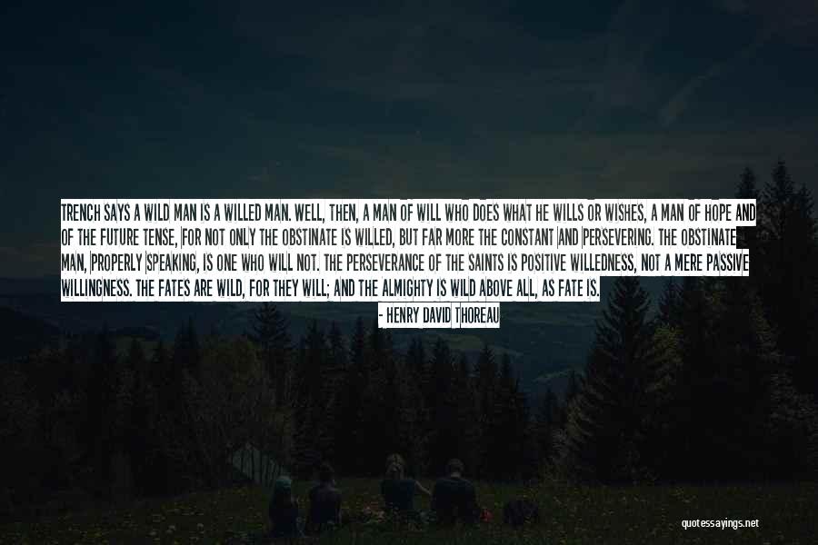 Perseverance Of The Saints Quotes By Henry David Thoreau Perseverance Of The Saints Quotes By Henry David Thoreau