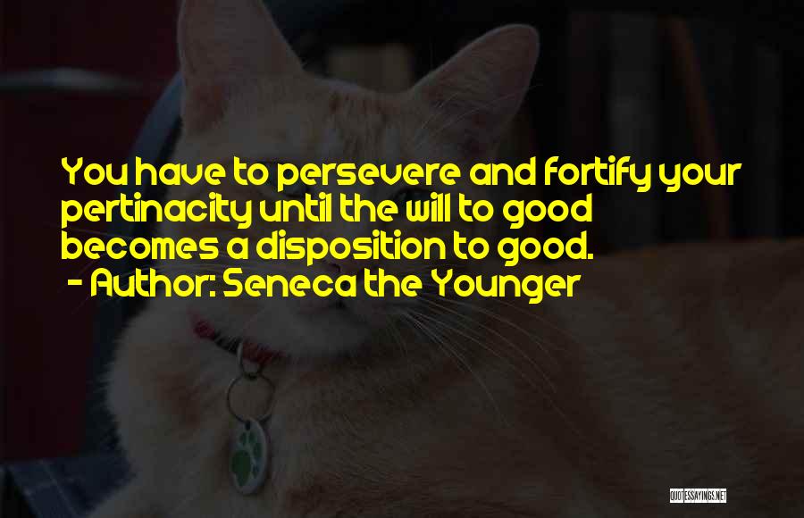 Persevere Quotes By Seneca The Younger