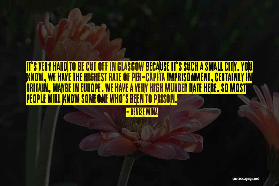 Persian Cat Quotes By Denise Mina Persian Cat Quotes By Denise Mina