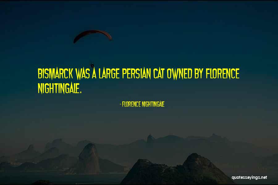 Persian Cat Quotes By Florence Nightingale Persian Cat Quotes By Florence Nightingale