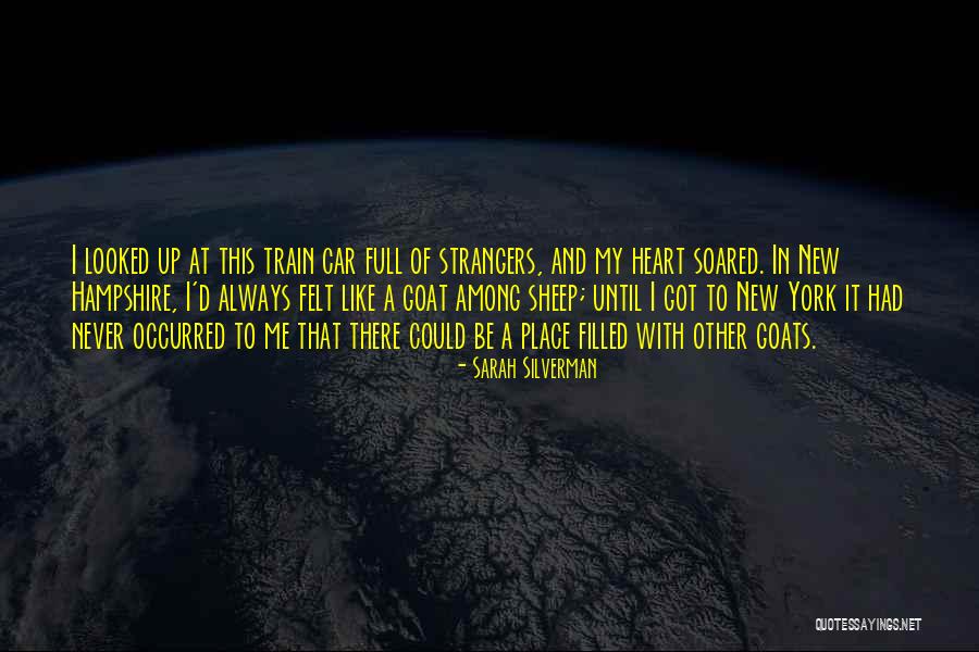 Persianality Quotes By Sarah Silverman Persianality Quotes By Sarah Silverman