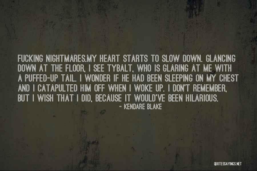 Persiano Gatto Quotes By Kendare Blake Persiano Gatto Quotes By Kendare Blake