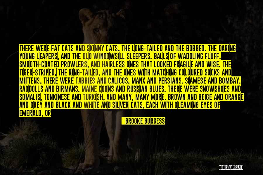 Persians Quotes By Brooke Burgess Persians Quotes By Brooke Burgess