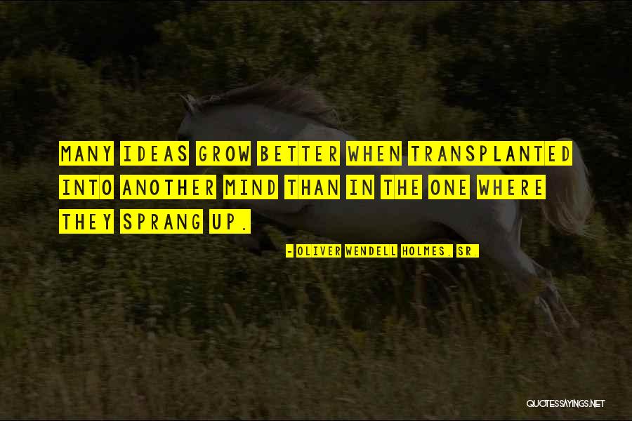 Persidangan Quotes By Oliver Wendell Holmes, Sr. Persidangan Quotes By Oliver Wendell Holmes, Sr.