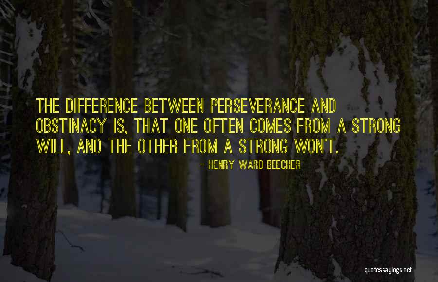 Persiguiendo A Silvia Quotes By Henry Ward Beecher Persiguiendo A Silvia Quotes By Henry Ward Beecher