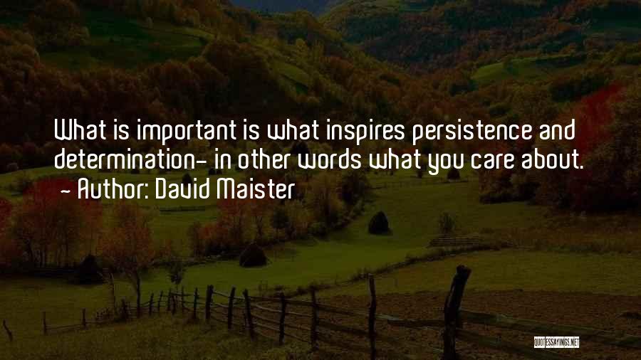 Persistence And Determination Quotes By David Maister