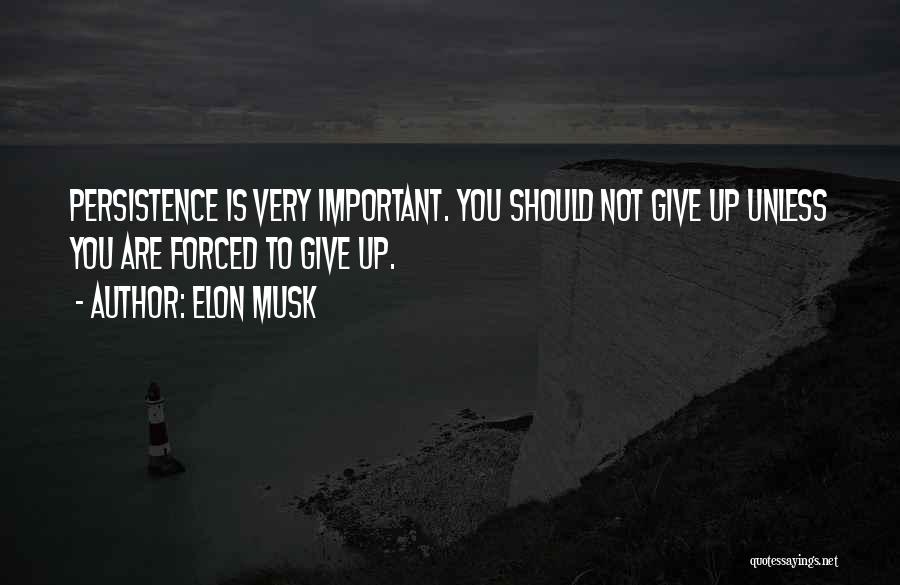 Persistence And Not Giving Up Quotes By Elon Musk