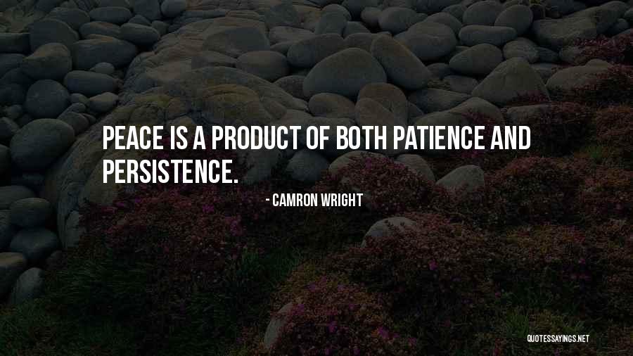 Persistence Inspirational Quotes By Camron Wright Persistence Inspirational Quotes By Camron Wright