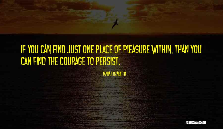 Persistence Inspirational Quotes By Tania Elizabeth Persistence Inspirational Quotes By Tania Elizabeth