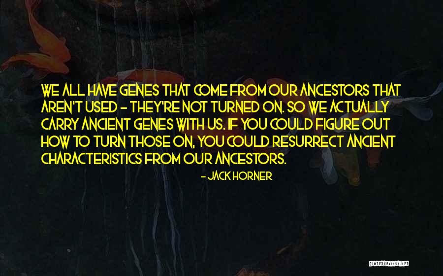 Persistencia De Memoria Quotes By Jack Horner Persistencia De Memoria Quotes By Jack Horner