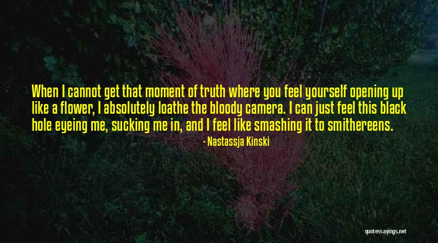 Persistentie Quotes By Nastassja Kinski Persistentie Quotes By Nastassja Kinski