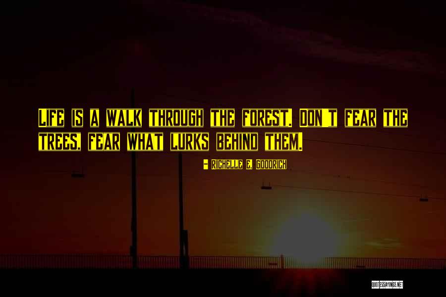 Person Comes From Wheelchair Quotes By Richelle E. Goodrich Person Comes From Wheelchair Quotes By Richelle E. Goodrich