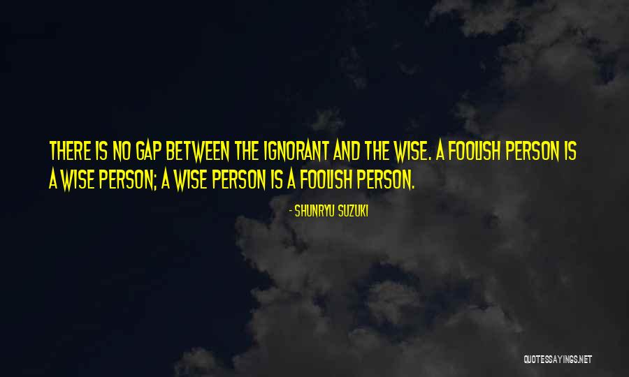 Person Is Wise Quotes By Shunryu Suzuki Person Is Wise Quotes By Shunryu Suzuki