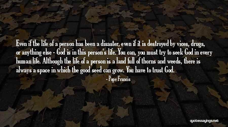 Person You Can Trust Quotes By Pope Francis Person You Can Trust Quotes By Pope Francis