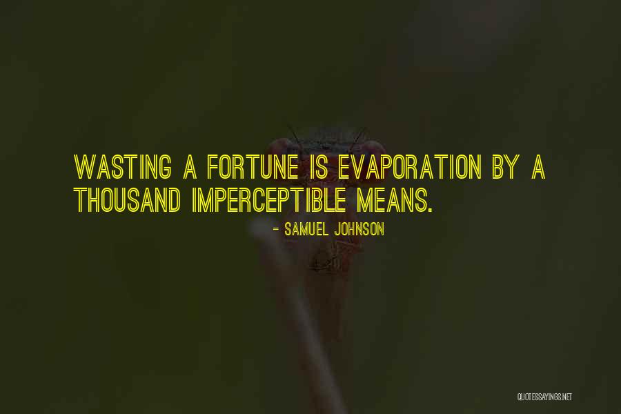 Persona 4 Arena Ultimax Elizabeth Quotes By Samuel Johnson