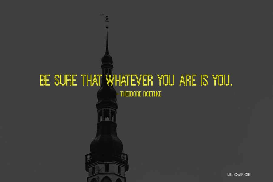 Persona Theodore Quotes By Theodore Roethke