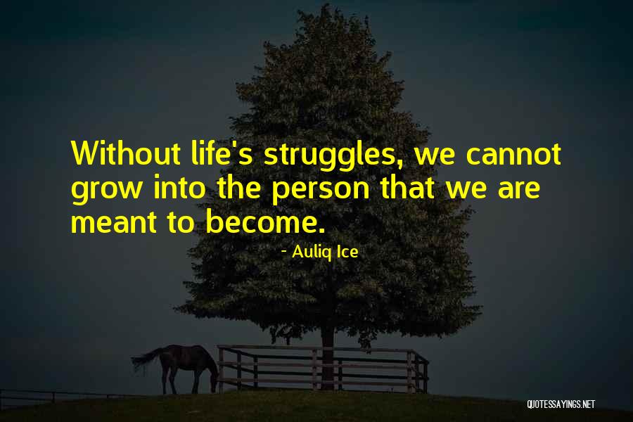 Personal Achievements Quotes By Auliq Ice