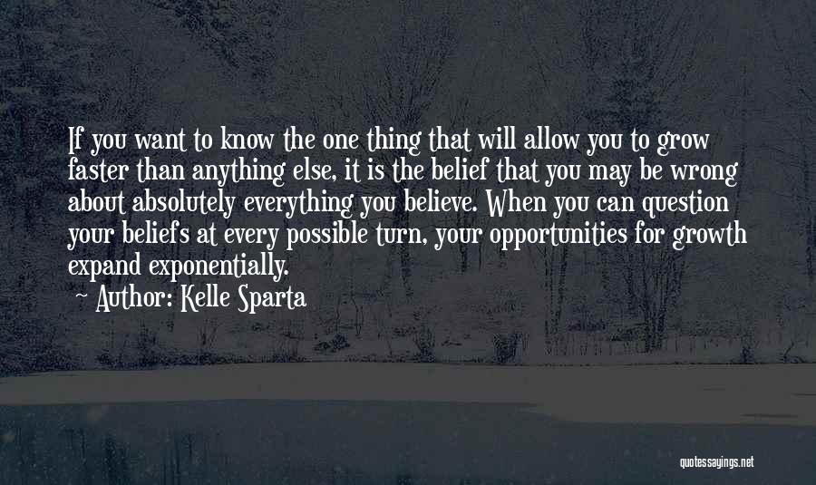 Personal Beliefs Quotes By Kelle Sparta