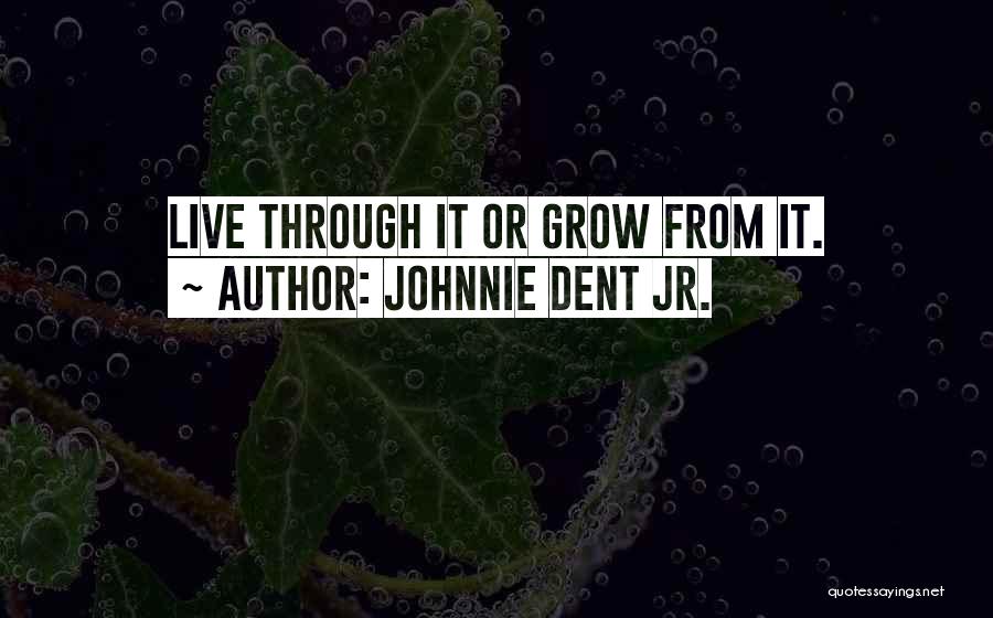 Personal Development Growth Quotes By Johnnie Dent Jr.