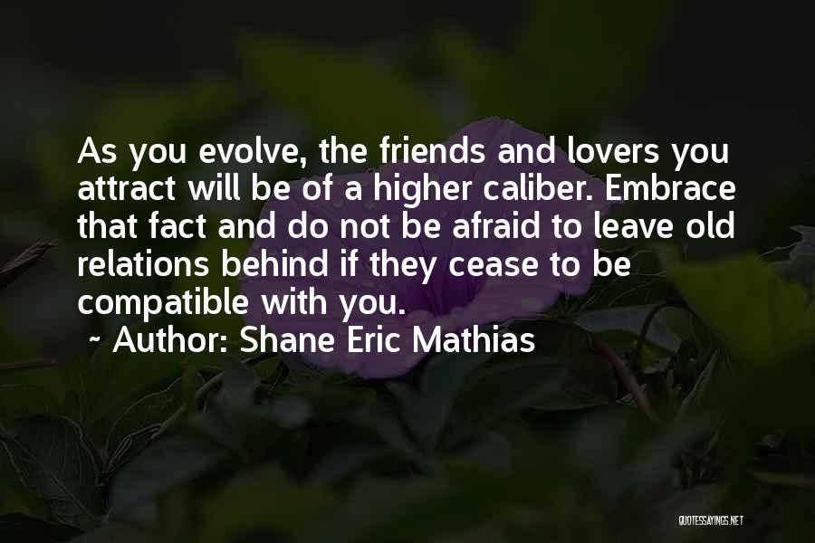 Personal Evolution Quotes By Shane Eric Mathias