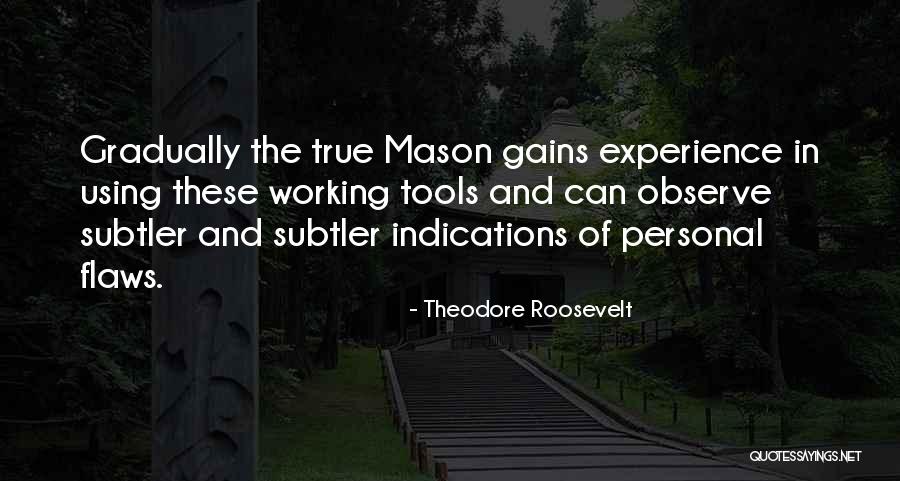 Personal Gains Quotes By Theodore Roosevelt Personal Gains Quotes By Theodore Roosevelt