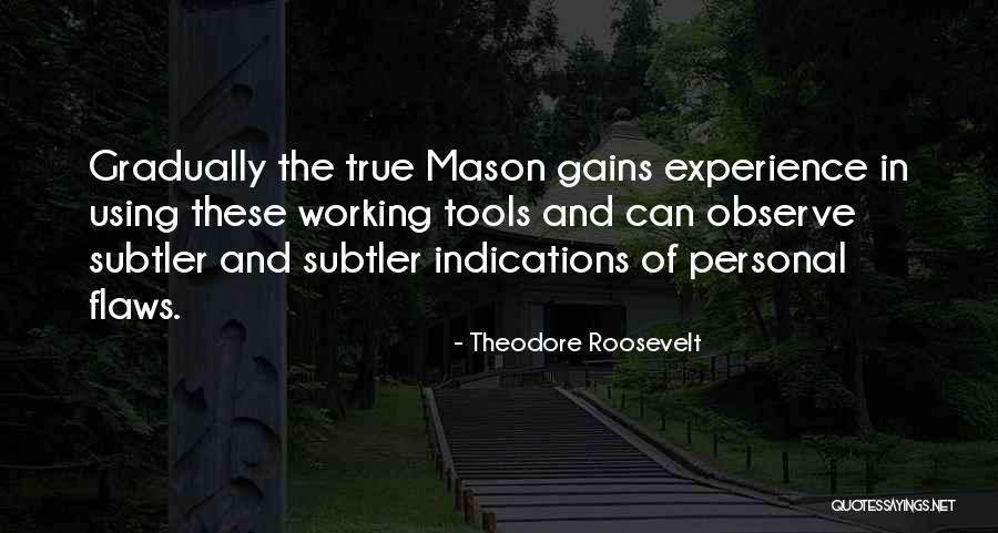 Personal Gains Quotes By Theodore Roosevelt