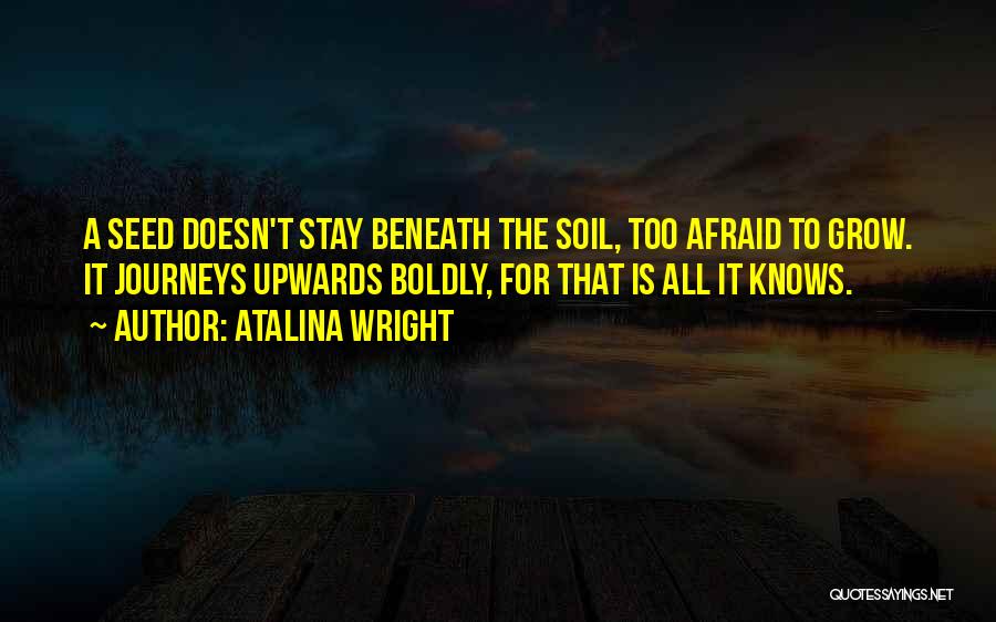 Personal Journeys Quotes By Atalina Wright