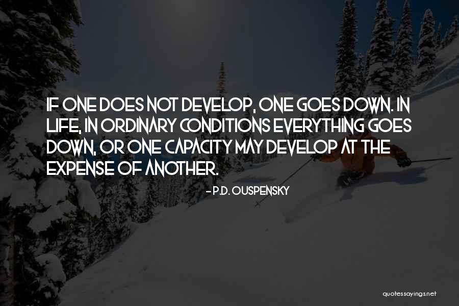 Personal Philosophy Of Life Quotes By P.D. Ouspensky Personal Philosophy Of Life Quotes By P.D. Ouspensky