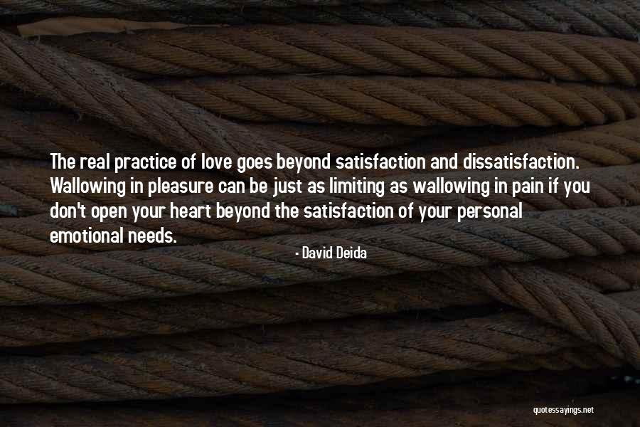 Personal Satisfaction Quotes By David Deida