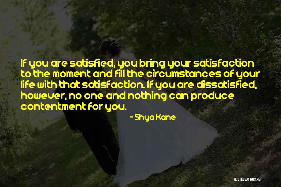 Personal Satisfaction Quotes By Shya Kane