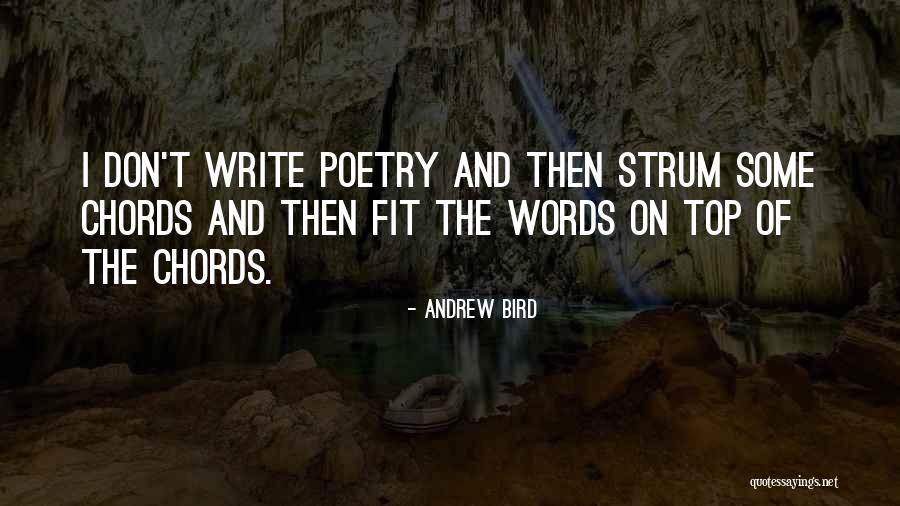 Personality Color Blue Quotes By Andrew Bird Personality Color Blue Quotes By Andrew Bird
