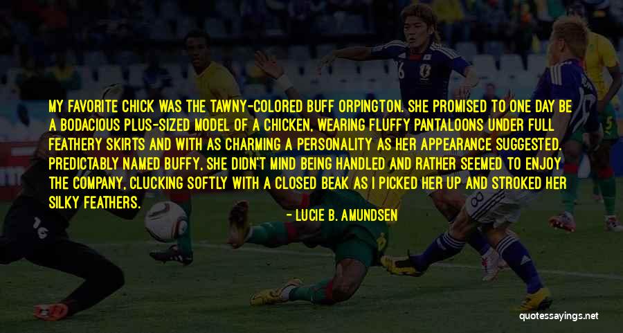 Personality Over Appearance Quotes By Lucie B. Amundsen Personality Over Appearance Quotes By Lucie B. Amundsen