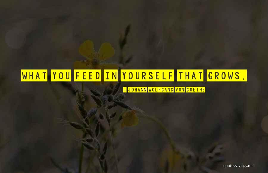 Personality Psychology Quotes By Johann Wolfgang Von Goethe