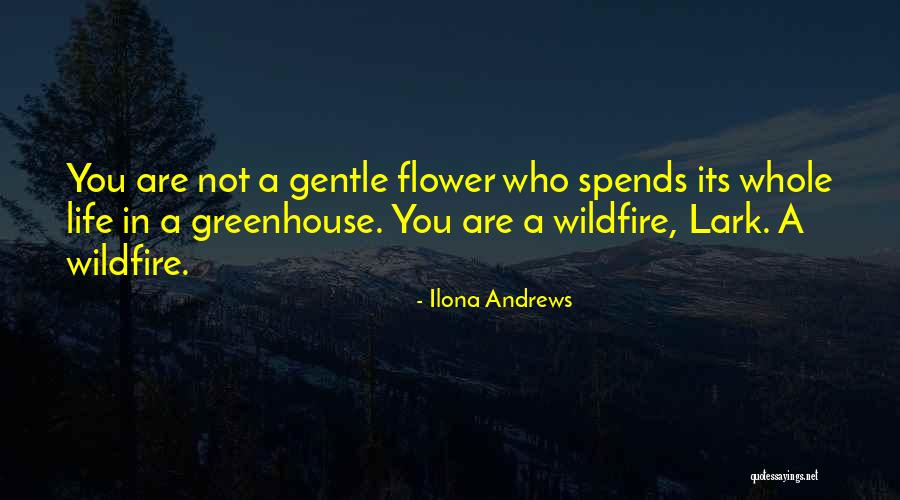 Personnalite Protagoniste Quotes By Ilona Andrews Personnalite Protagoniste Quotes By Ilona Andrews