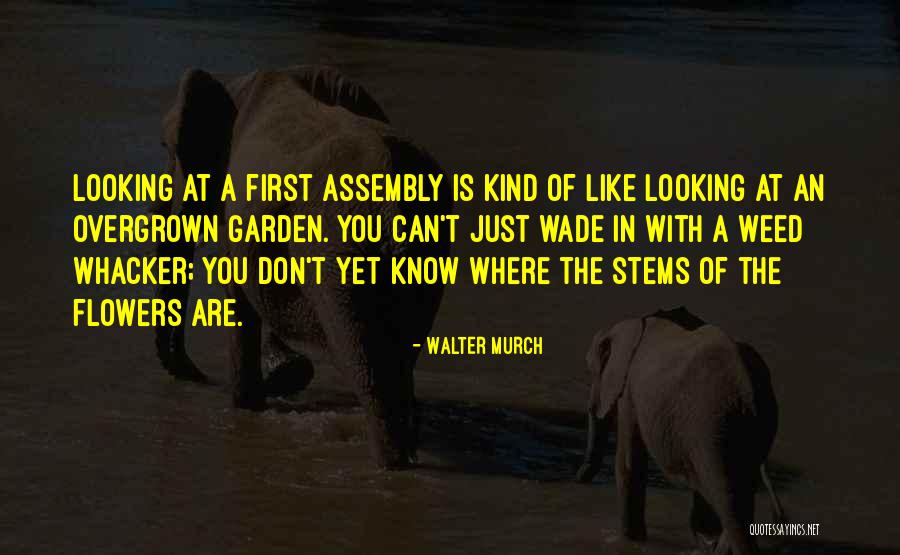 Personnellement En Quotes By Walter Murch Personnellement En Quotes By Walter Murch