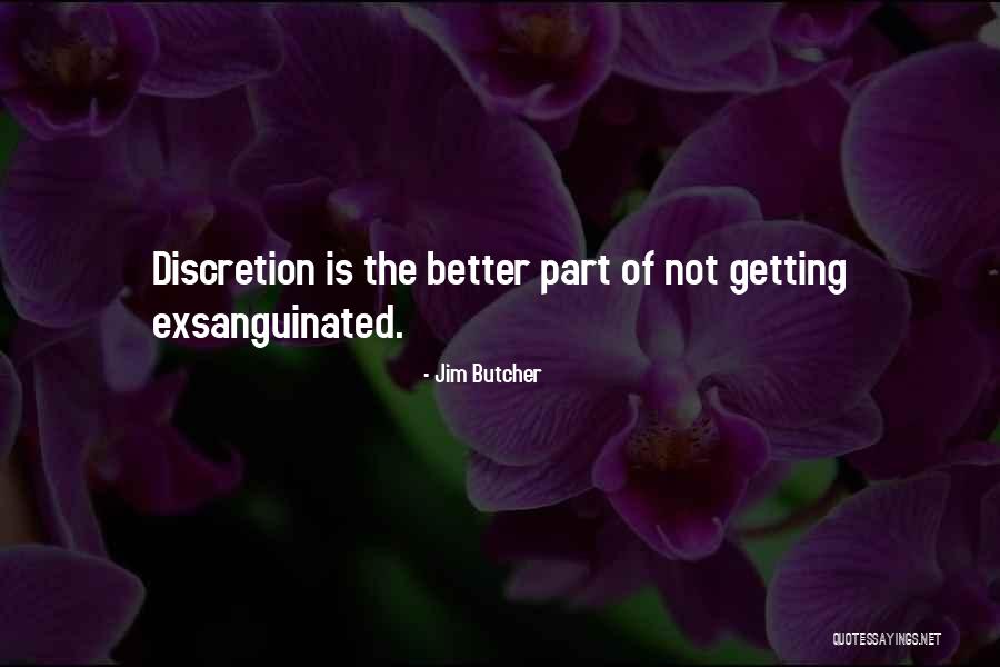 Perspectiva Caballera Quotes By Jim Butcher Perspectiva Caballera Quotes By Jim Butcher
