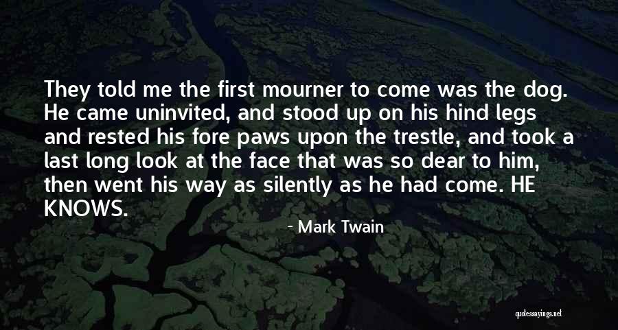 Perspectiva Quotes By Mark Twain Perspectiva Quotes By Mark Twain