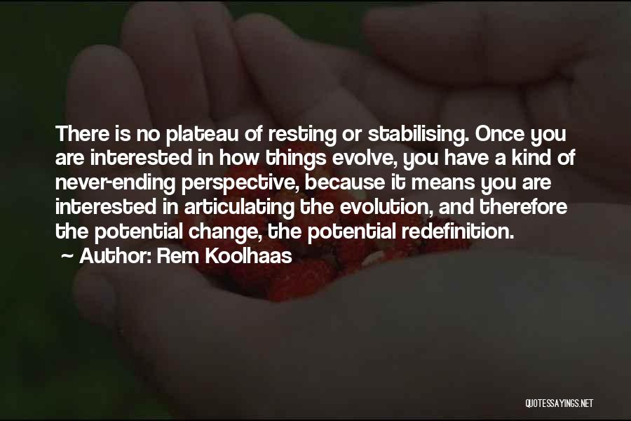Perspective And Change Quotes By Rem Koolhaas
