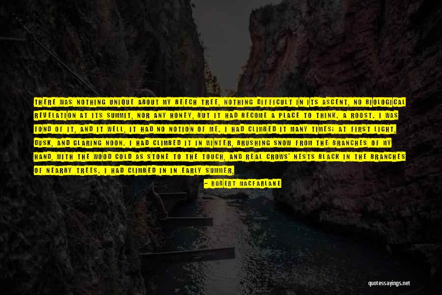Perspective And Light Quotes By Robert Macfarlane Perspective And Light Quotes By Robert Macfarlane
