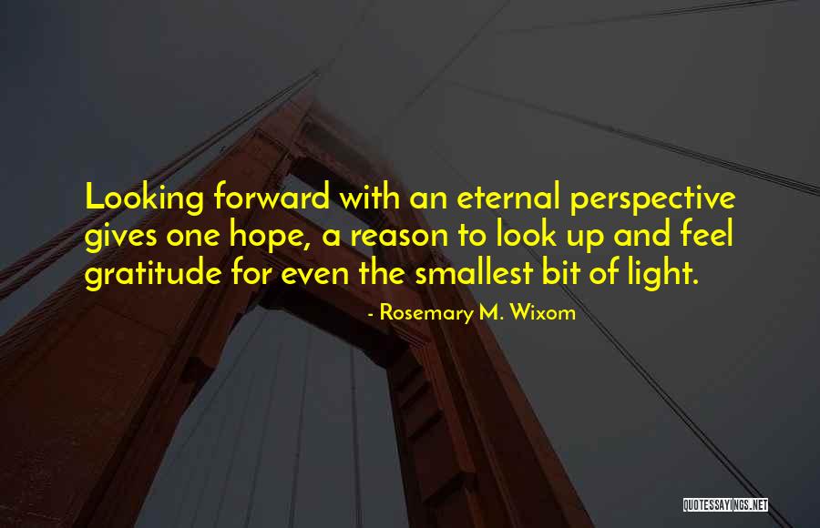 Perspective And Light Quotes By Rosemary M. Wixom Perspective And Light Quotes By Rosemary M. Wixom