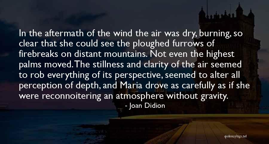 Perspective And Perception Quotes By Joan Didion