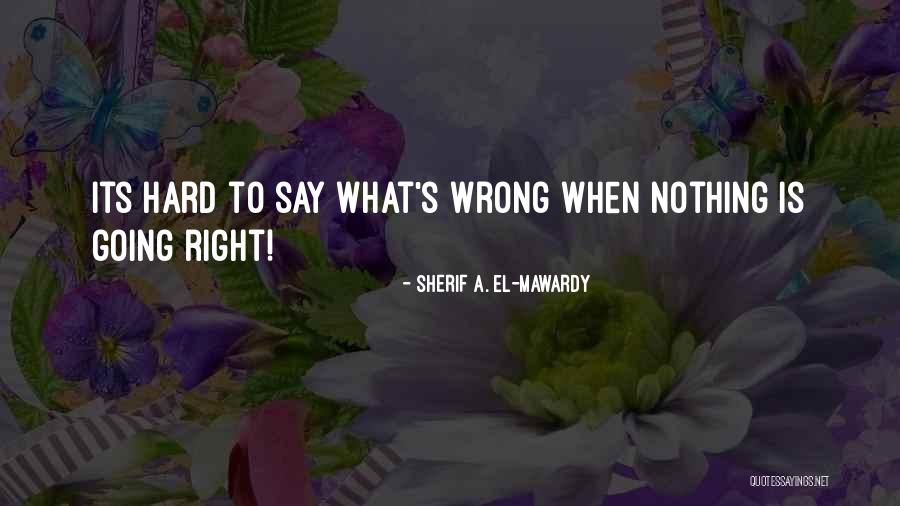 Perspective For Beginners Quotes By Sherif A. El-Mawardy Perspective For Beginners Quotes By Sherif A. El-Mawardy