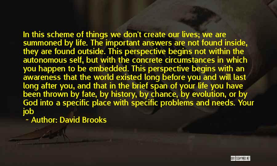 Perspective In History Quotes By David Brooks